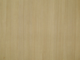 Panel laminate with simulated oak grain pattern.