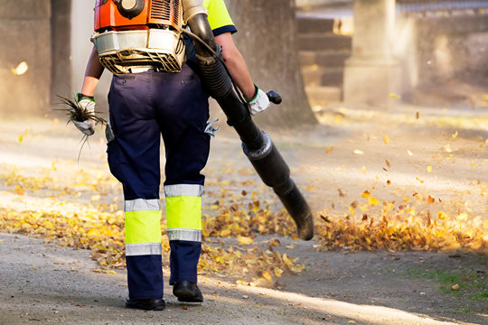 gardener with blower backpack working in city park , blowing  leafs