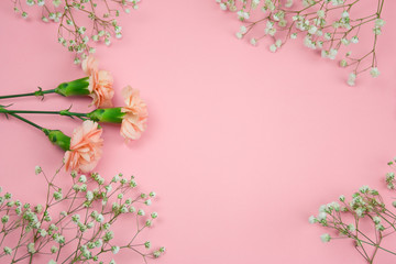 gypsophila and carnation flowers frame top view on a pink background copy space