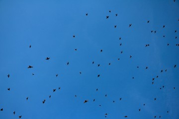 nature moments 