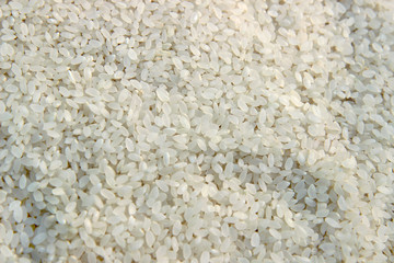 rice on white background. White rice