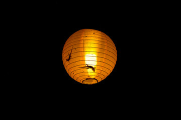 Gekko inside a lamp