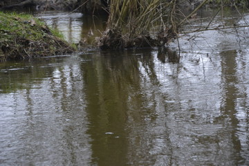 Water