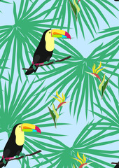 Toucan with tropical leaves and flowers.Strelitzia flower and monstera leaves.