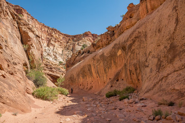 Fototapeta premium Deep in Capitol Gorge Trail