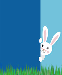 Easter greeting card concept with text cute bunny rabbit looking behind the blue wall on spring grass background. Vector eps10 illustration, flat kawaii style, copy space