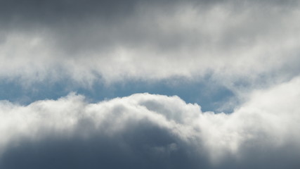 Obraz premium OLYMPUS DIGITAL CAMERA