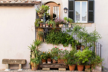 Fototapeta na wymiar Colorful plants and flowers outside a house