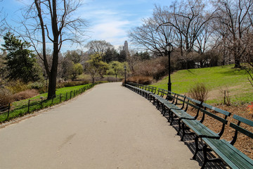 Fototapeta na wymiar Rows of benches in Central-park