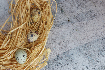 raw quail eggs in hay. country style. group of fresh quail eggs on light concrete. Copy space.