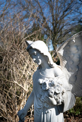 Schöner Engel von der Seite