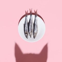 Cat vs fish. Curious cat shadow and plate with silver fish on pink background. Hard light. Top...