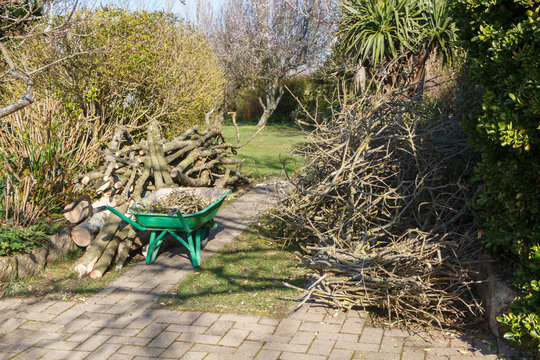 Heap of wood logs and fagots in a garden after trimming a tree