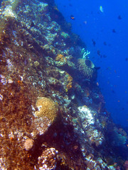 shipwreck USS Liberty - Bali Indonesia Asia