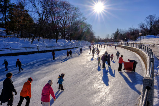 Skating between Bank and Bronson Street bridges, Ottawa