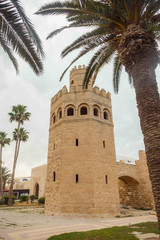 Fototapeta na wymiar The tower surrounded by palm trees at the entrance to Medina. Tunisia, Monastir