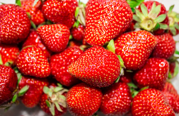 Fresh strawberries. Strawberry background. pattern texture. Macro. large, big strawberries. Harvesting organic local strawberries.