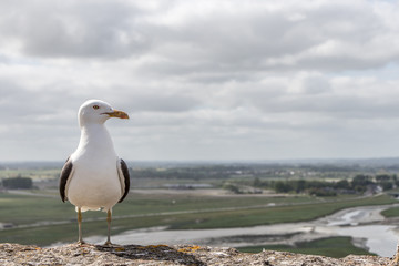 Mont Saint-Michel, France