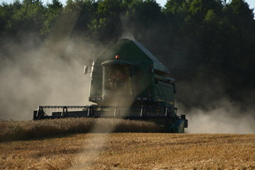 Harvest on the farm