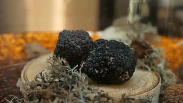 Expensive rare black truffle mushroom