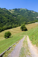 Fototapeta na wymiar Valle di Muggio, Svizzera