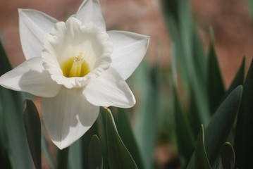 Obraz premium BP 0786