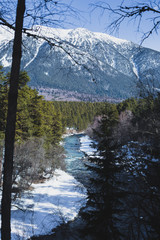 Caucasus, Russia. Winter river in a coniferous forest