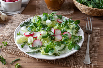 Spring salad with wild bedstraw, chickweed, young yarrow