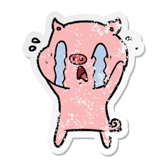 distressed sticker of a crying pig cartoon