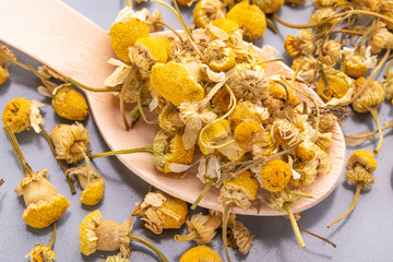 Dried chamomile flowers in a wooden spoon on a gray plate.