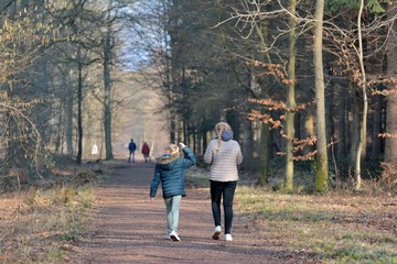 Fototapeta premium Des personnes qui se promènent en forêt