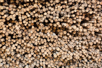 Eucalyptus logs are used in the construction industry, raw material for industrial of construction, woodpile texture background