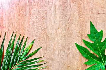 Wood background 