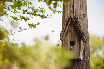 A wooden nesting box hanging on a tree. Bird house on the tree in spring park or forest.