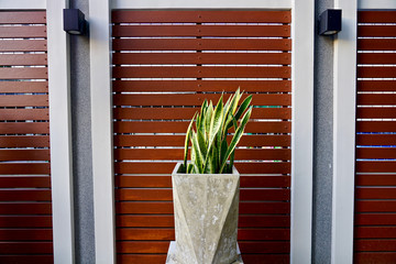 Flowerpot and wall wood