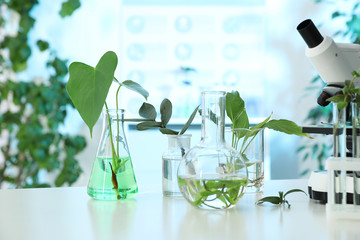 Laboratory glassware with plants and microscope on table. Biological chemistry