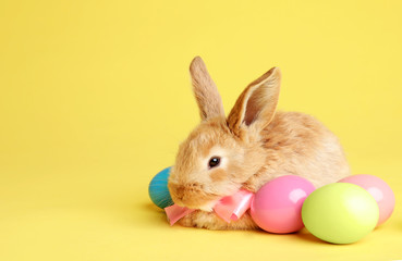 Fototapeta na wymiar Adorable furry Easter bunny with cute bow tie and dyed eggs on color background, space for text