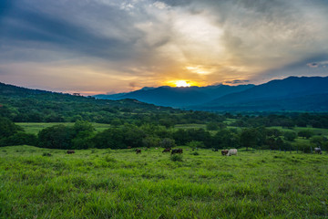 Huila, Colombia Landscape