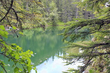 Fototapeta premium A Lake in Alaskan Rainforest