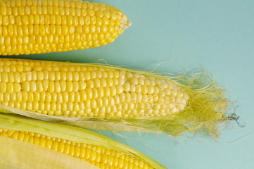 Fresh organic corn on the cob