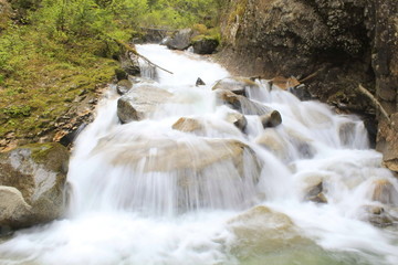 A Waterfall in Alaskan Rainforest