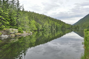 Fototapeta na wymiar A Lake in Alaskan Rainforest