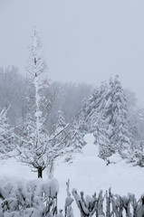Snowy, winter landscape with snowman and trees, vertical
