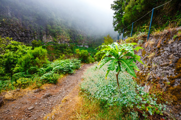 25 Fontes levada on Madeira island, Portugal