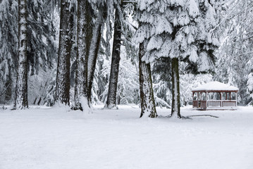 Wintery landscape with gazebo in the snowy woods