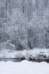 Winter landscape with trees, snow and river, vertical