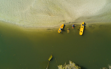 Obraz premium green field of yellow flowers
