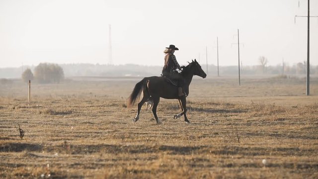 Beautiful woman riding horse with dog at sunrise field. Young cowgirl at brown horse in slow motion outdoors