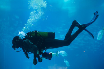 Diver diving with a scuba set.