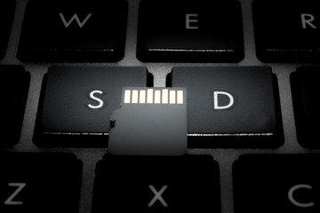 black micro sd card with gold contacts on the key with the letter S and letter D